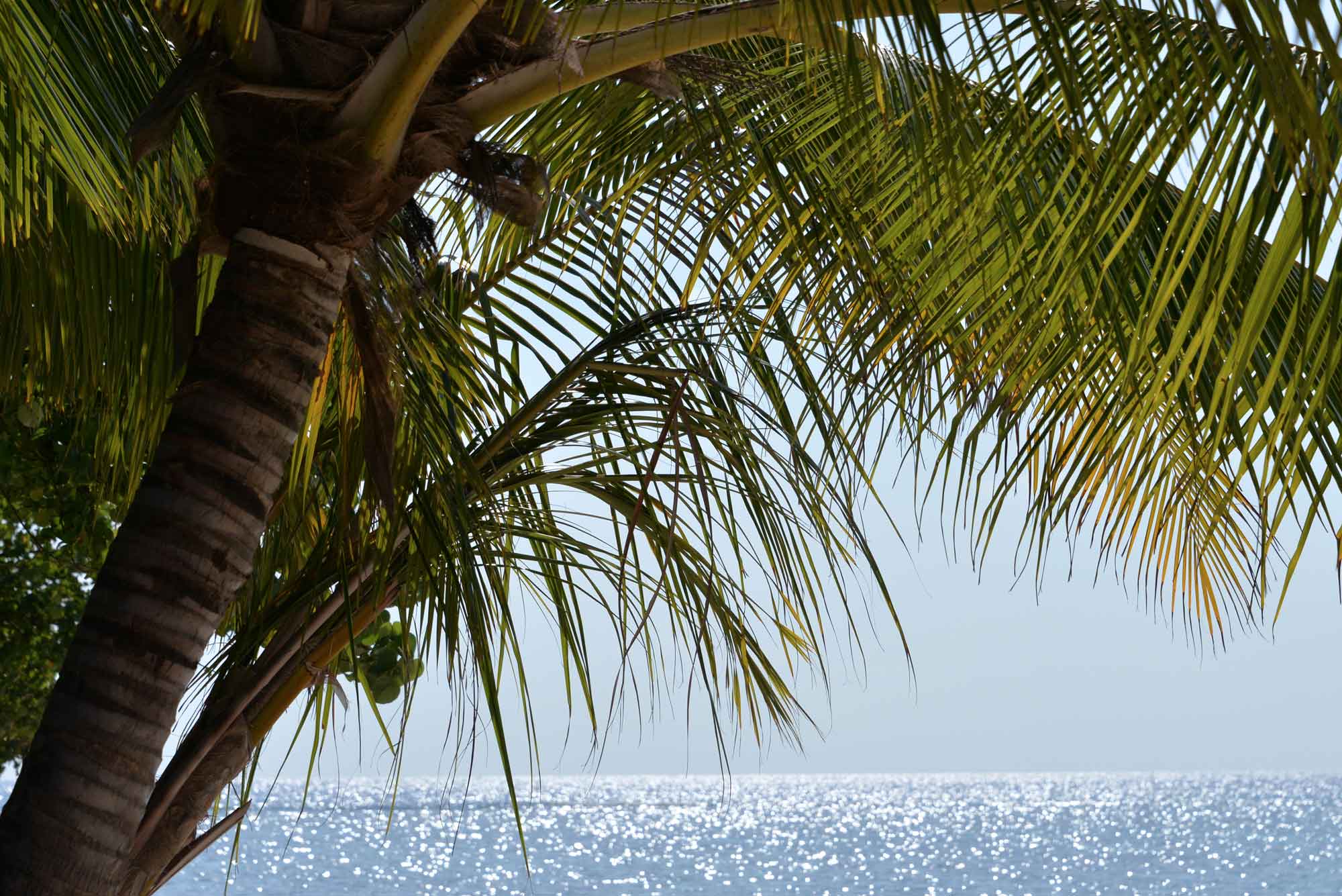 Baani Lodge Maldives