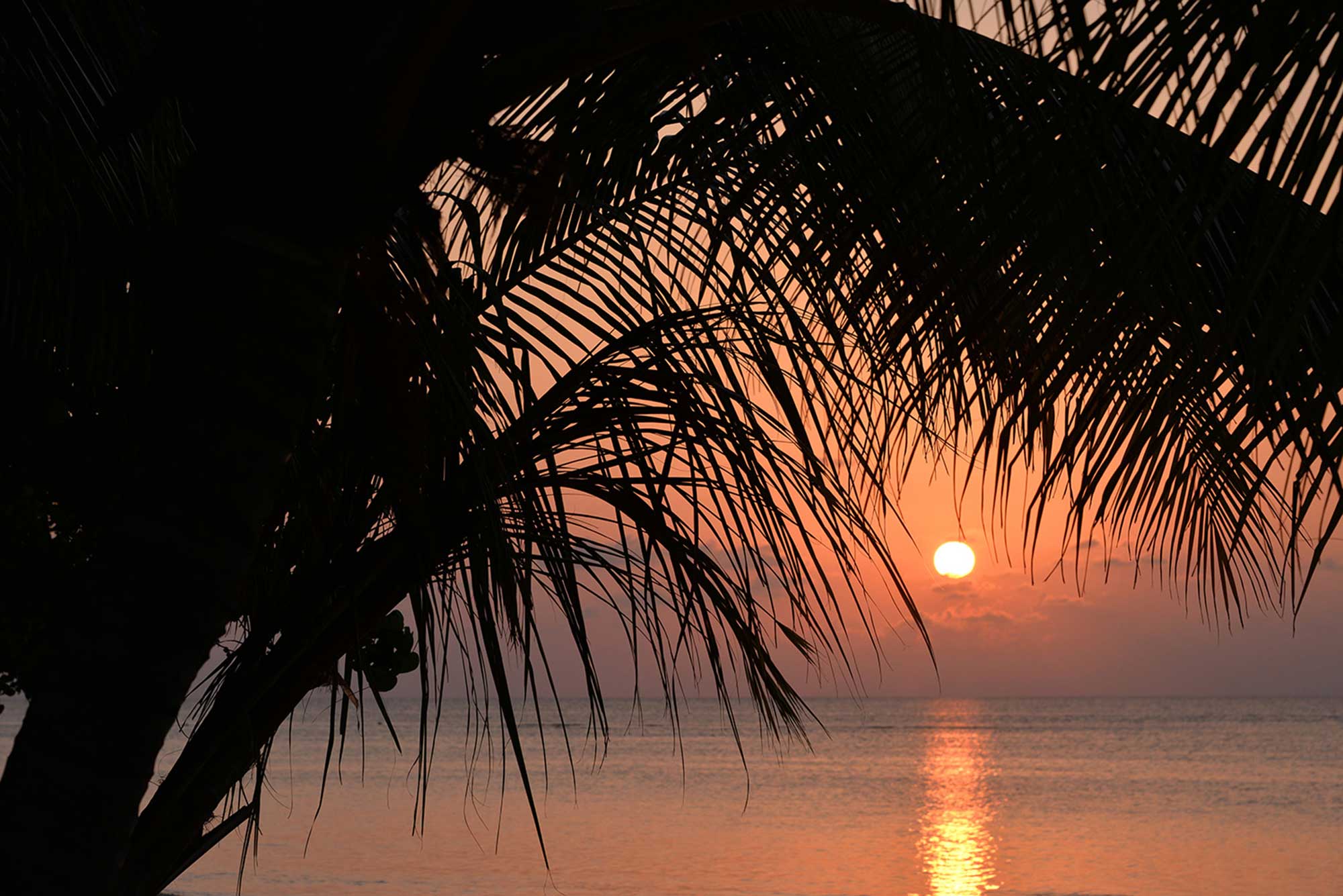 Baani Lodge Maldives