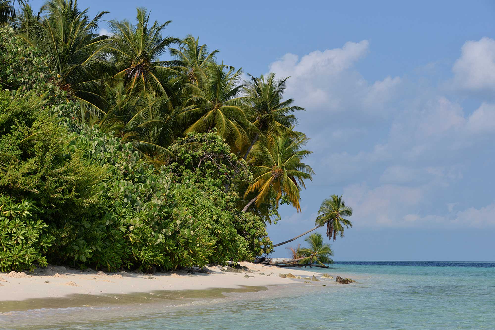 Baani Lodge Maldives