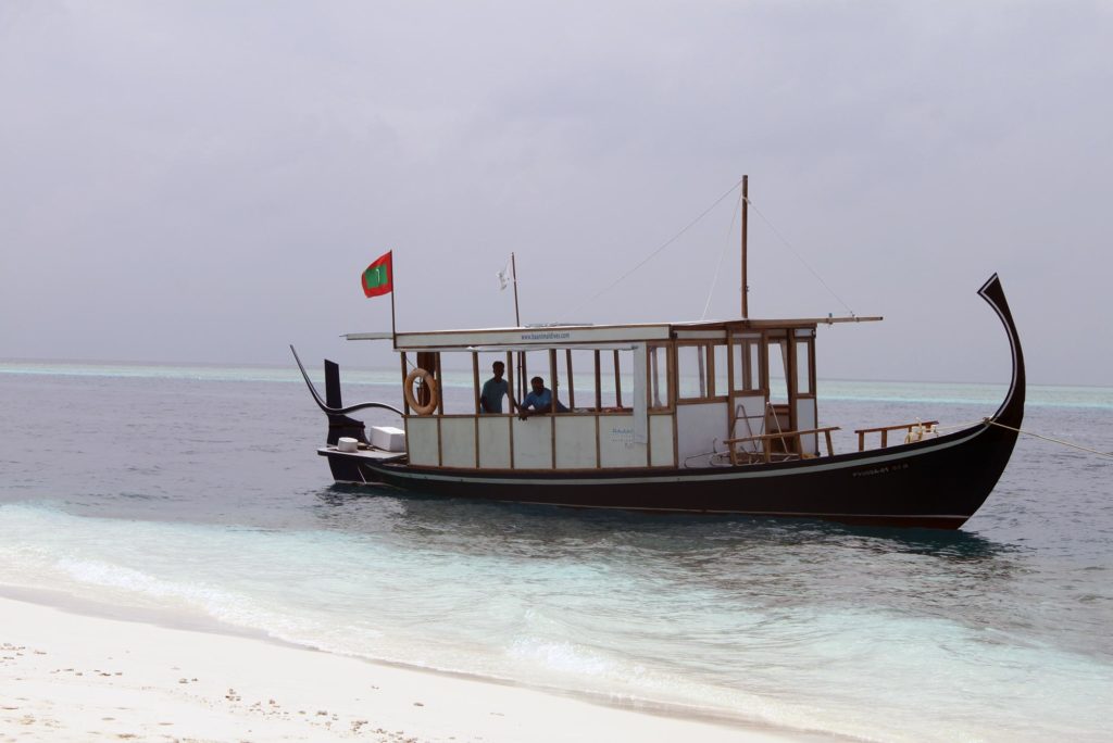 Baani Lodge Maldives - Dhoani