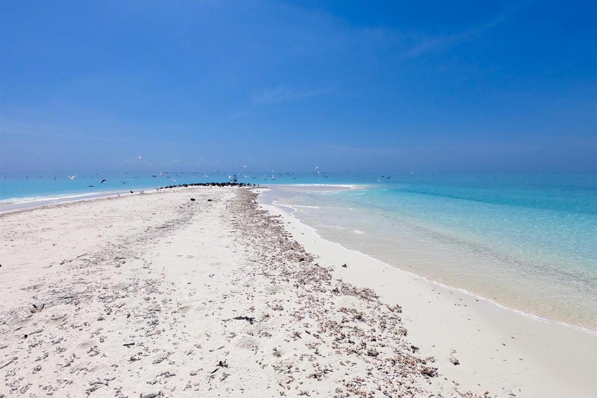 Baani Lodge Maldives