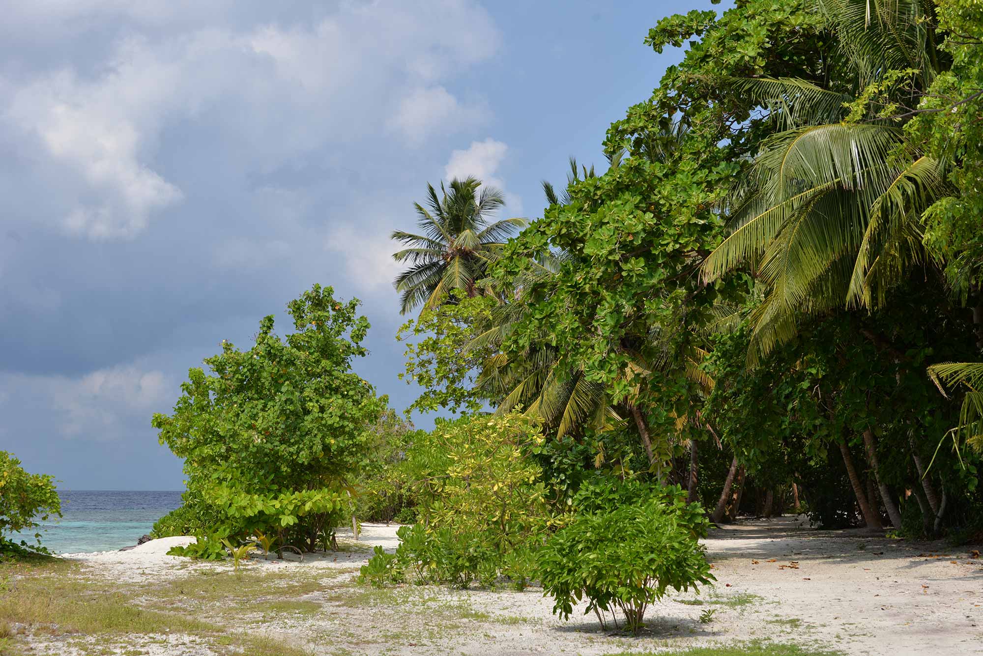 Baani Lodge Maldives